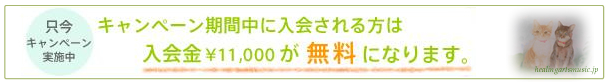 キャンペーン実施中